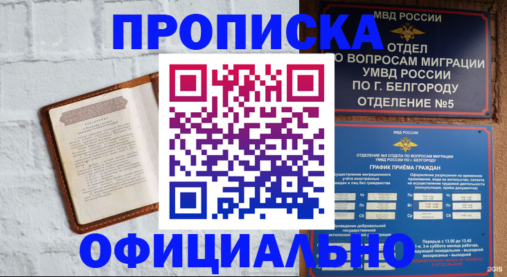 временная регистрация для школы в Ивантеевке